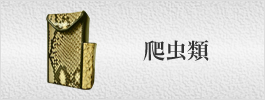 爬虫類